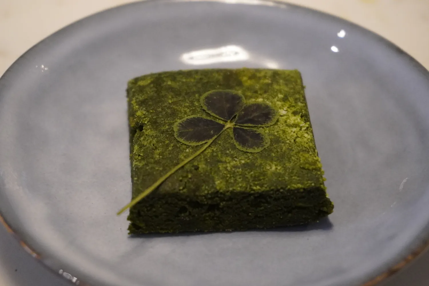 Matcha square with a four-leaf clover