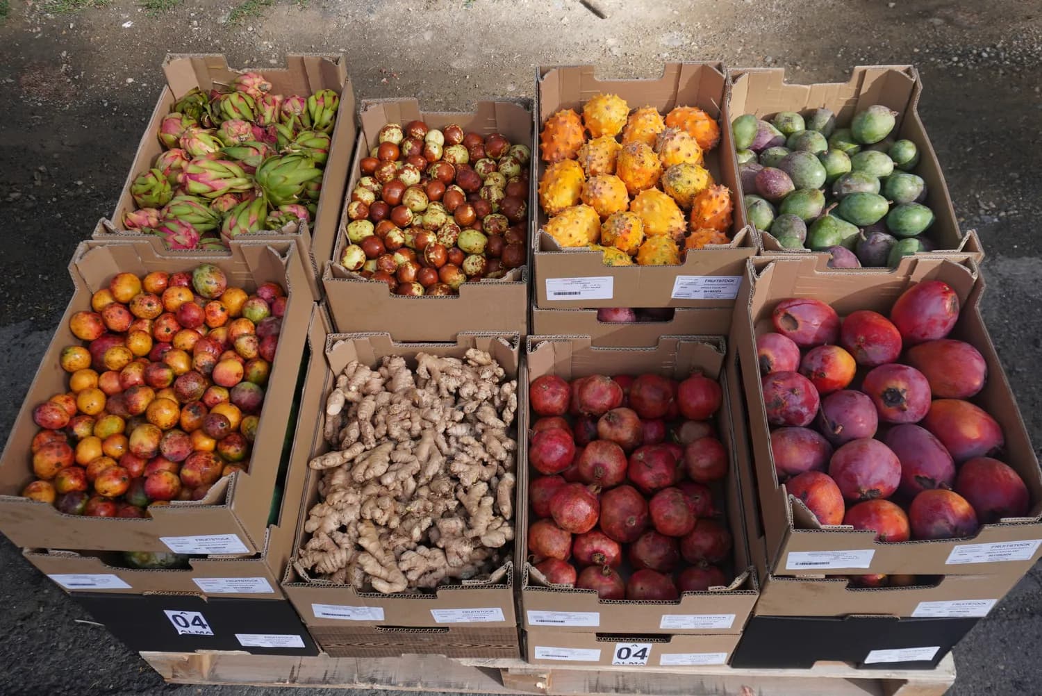 Fruitstock fruit crates