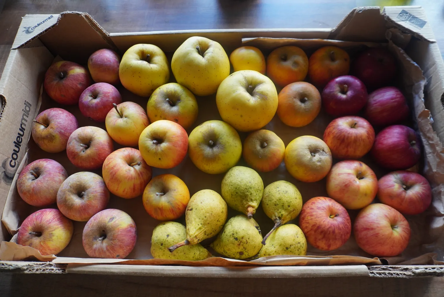 Tray of heirloom fruits and apples