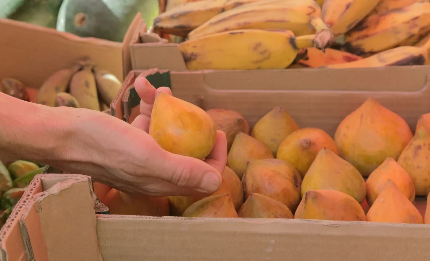 Une main choisit une mangue dans la cagette, au marché, bananes et fruits derrière